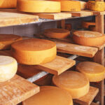 cow-milk-cheese-2021-08-29-03-30-35-utc