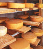 cow-milk-cheese-2021-08-29-03-30-35-utc